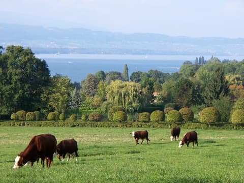 Loueur de bennes Chens-sur-Léman