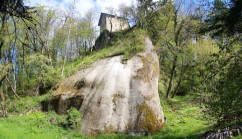 Loueur de bennes Mûres